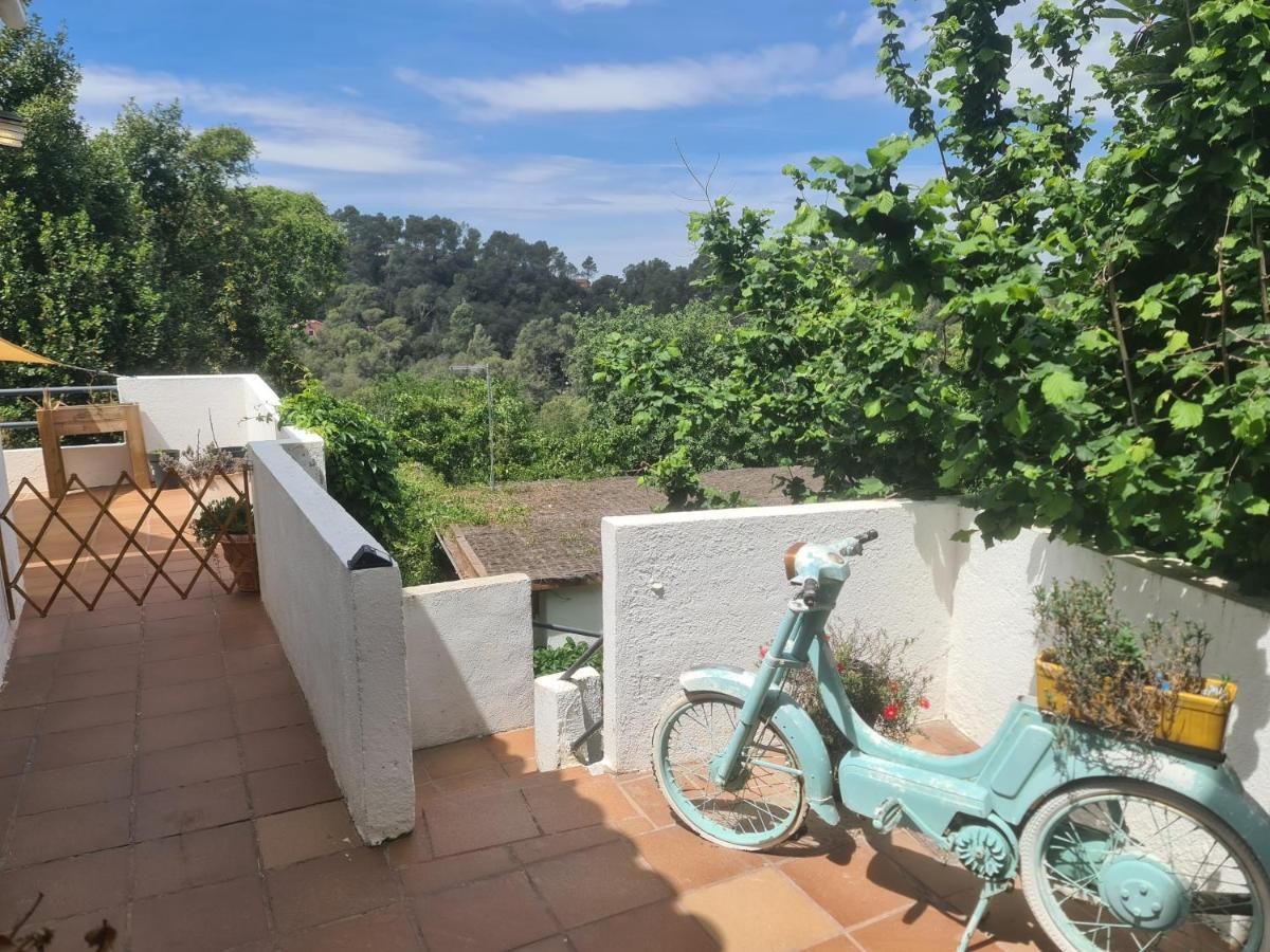 Nature Oasis Near Barcelona With Swimming Pool Parties Not Allowed Sant Cugat del Vallès Exterior photo